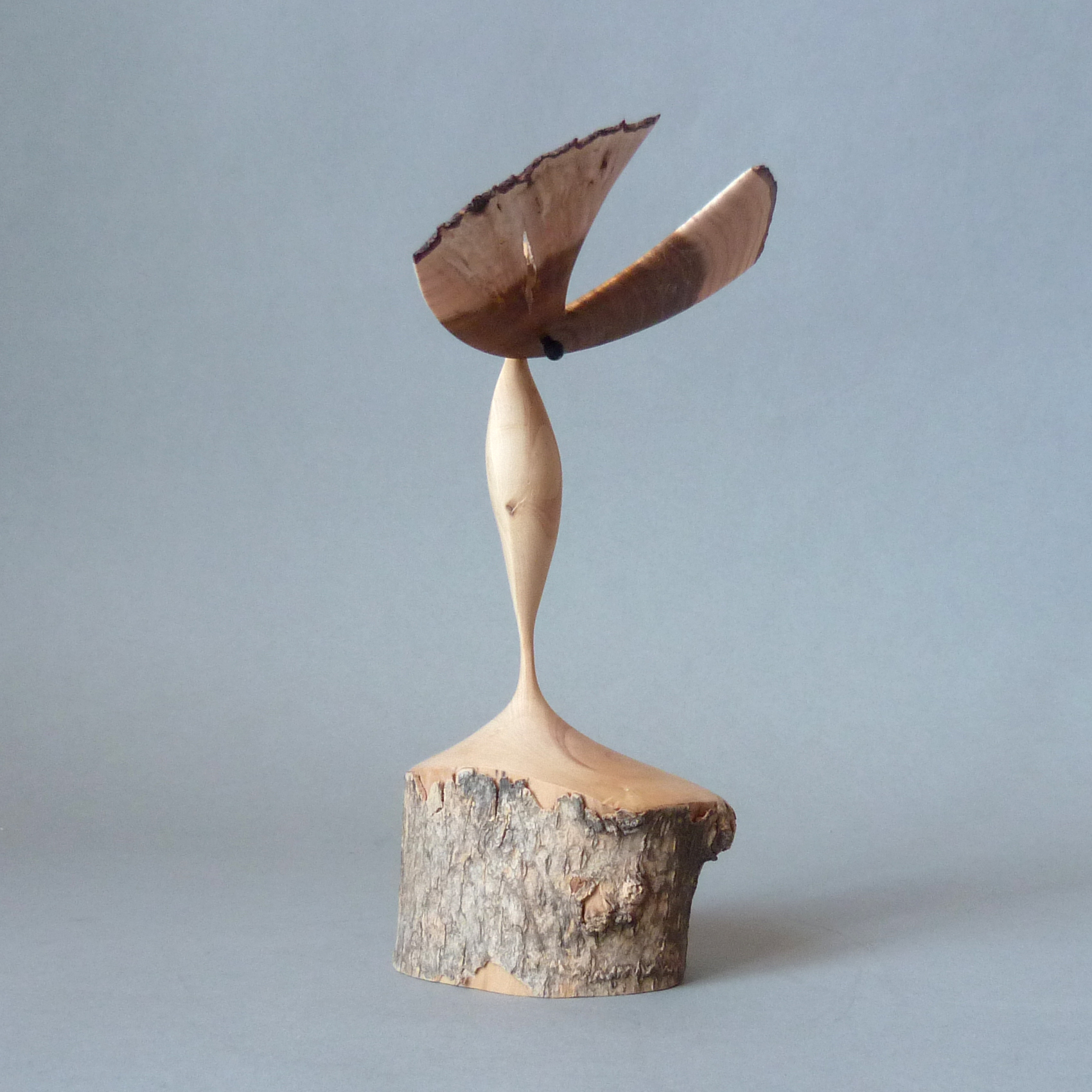 Ange Gardien 145 – Image 6