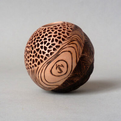 Carapace